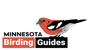 Minnesota Birding Guides